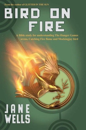 Bird On Fire by Jane Wells book cover